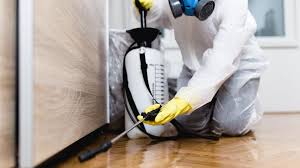 Best Termite Inspection and Treatment  in South Uniontown, PA